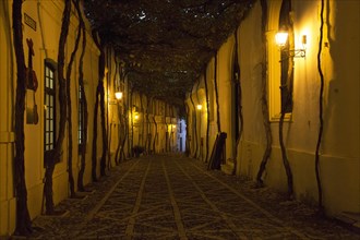 Historic cobbled street Calle Ciegos lit in evening, Gonzalez Byass bodega, Jerez de la Frontera,