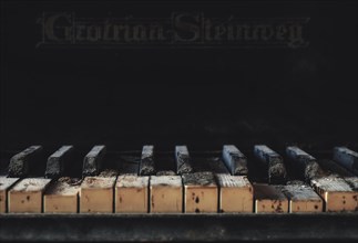 Dusty, worn piano keys of an old Steinway piano in a dark atmosphere, urologist's villa Dr Anna L.,