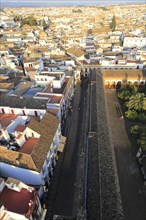Oblique raised angle view of historic city centre buildings, Cordoba, Spain, Europe