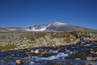 Snohetta, highest mountain in the Dovrefjell range, Dovrefjell-Sunndalsfjella National Park,