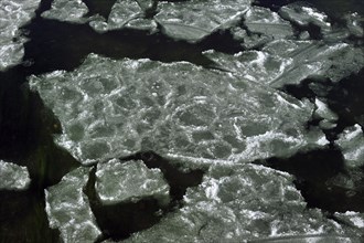Pancake ice floating on river due to severe cold in winter, Belgium, Europe