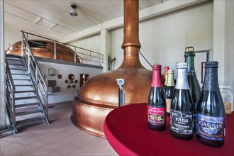 Copper brew kettles at Brouwerij Lindemans, Belgian brewery at Vlezenbeek, producer of geuze and