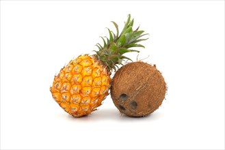 Whole pineapple fruit and coconut isolated on a white background