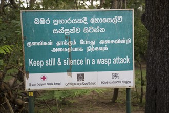 Warning sign about wasp attack, Sigiriya, Central Province, Sri Lanka, Asia