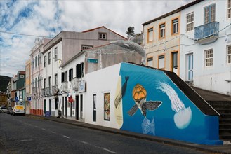 A living mural of a turtle and jellyfish adorns a townhouse, Horta, Faial Island, Azores, Portugal,
