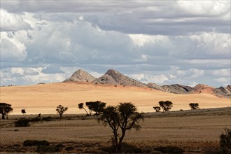 Dramatic landscape with mountains in the background and desert in the foreground, C13, Namibia,