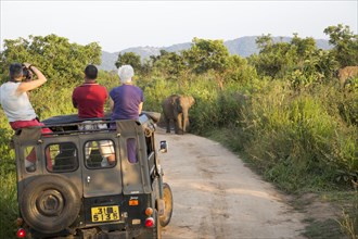 Elephant safari in Hurulu Eco Park biosphere reserve, Habarana, Anuradhapura District, Sri Lanka,
