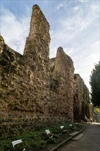 Abbey ruins, Reading, Berkshire, England, UK