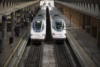 Trains at platform inside Santa Justa railway station, Seville, Spain, Europe