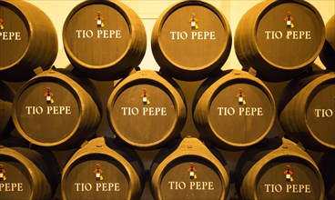 Oak barrels of maturing Tio Pepe fino sherry wine cellar, Gonzalez Byass bodega, Jerez de la