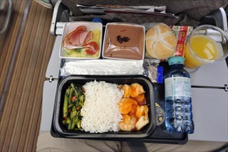 Economy Lunch in Airbus A 350 900 Singapore Airline, Munich Franz Josef Strauss Airport, Munich,