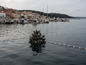 Christmas tree in the harbour basin, Mali Losinj, Kvarner Gulf Bay, Croatia, Europe