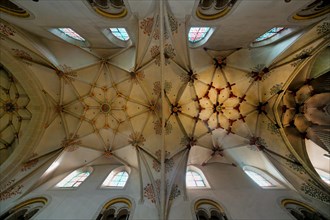 St Castor Basilica, Vaulted ceiling, Coblenz, Rhineland Palatinate, Germany, Europe