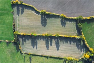 Aerial view over countryside showing bocage landscape with fields, meadows and pastures, patchwork
