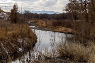 Denver, Colorado, Wetlands along the Clear Creek Trail. The hiking/biking trail runs 19 miles from