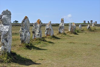 Megalithic standing stones, Alignements de Lagatjar and ruins of the Manoir de Coecilian at Crozon,