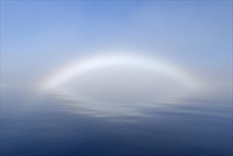 Fogbow, fog bow, white rainbow, sea-dog over the Arctic Sea at Svalbard, Norway, Europe