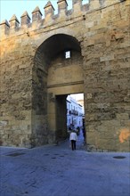 Old city west gate entrance, Puerta de Almodovar, Cordoba, Spain, Europe