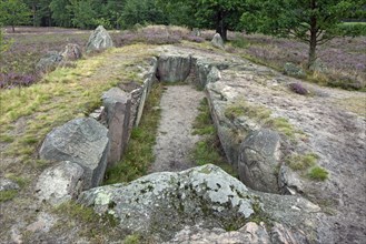 Passage grave at Oldendorfer Totenstatt, group of six burial mounds and megalith sites in Oldendorf