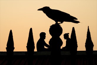 Silhouette of a couple and a crow, former French colony of Pondicherry or Puducherry, Tamil Nadu,