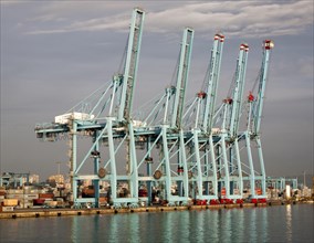 Large cranes APM Terminals container ship port at Algeciras, Cadiz Province, Spain, Europe