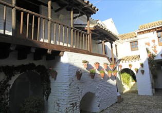 Balcony in historic courtyard housing the Fosforito flamenco museum, Cordoba, Spain, Europe