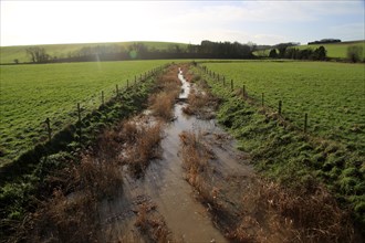 River Kennet flowing across fields towards Swallowhead Springs, West Kennet, Wiltshire, England, UK