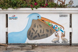 Pelican with plastic bottles in its beak, graffiti, Pondicherry or Puducherry, Tamil Nadu, India,