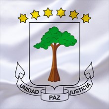 Africa, African Union, the coat of arms of Equatorial Guinea, Studio