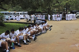 Large groups of school children visiting Polonnaruwa, North Central Province, Sri Lanka, Asia