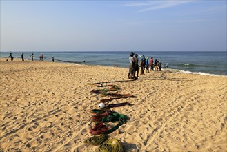 Traditional fishing hauling nets Nilavelli beach, near Trincomalee, Eastern province, Sri Lanka,