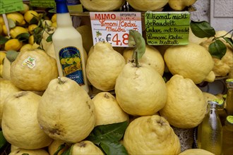 Lemons and lemon products, Limone sul Garda, Lake Garda, Province of Brescia, Lombardy, Italy,