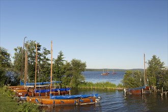 Auswanderers, traditional wooden sailing boats moored in Steinhuder Meer, Lake Steinhude, Lower