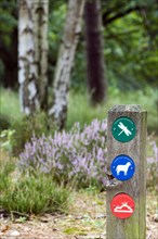 Colourful markers for walkers on signpost at the nature reserve Kalmhoutse Heide, Antwerp, Belgium,
