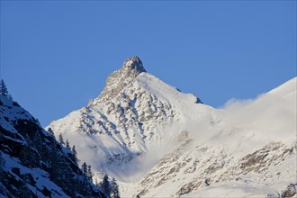 The mountain Grivola in the Graian Alps in the Gran Paradiso National Park, Valle d'Aosta, Italy,