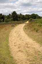 Track on Suffolk Sandlings heathland, Sutton, Suffolk, England, UK