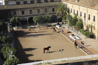 Raised angle view courtyard of equestrian centre, Caballerizas Reales de Cordoba, Royal Stables,