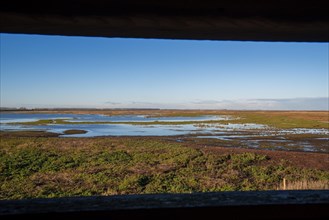 View over salt marsh of the Western Scheldt estuary at nature reserve Verdronken Land van