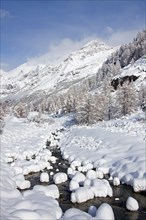 Mountain stream in the snow in winter in the Gran Paradiso National Park, Valle d'Aosta, Italy,