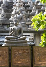 Buddha statues at Gangaramaya Buddhist Temple, Colombo, Sri Lanka, Asia