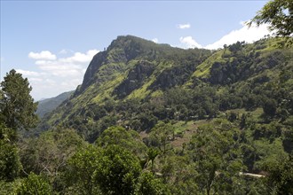 Ella Rock mountain, Ella, Badulla District, Uva Province, Sri Lanka, Asia