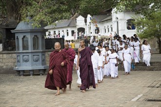 Monks at Dambulla cave Buddhist temple complex, Sri Lanka, Asia