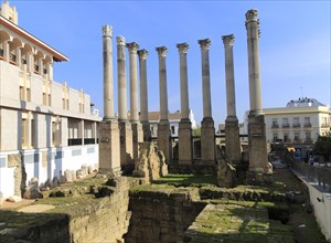 Columns of Roman temple remains, Templo Romano, Cordoba, Spain, Europe