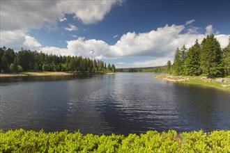 Oderteich, historic reservoir near Sankt Andreasberg in the Upper Harz National Park, Lower Saxony,