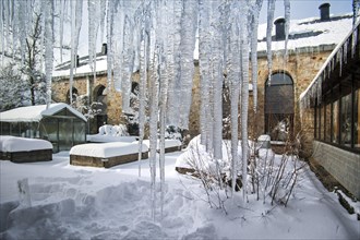 Icicles at the Nature Center of Botrange in the High Fens, Hautes Fagnes, Belgian Ardennes,