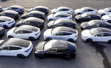 Tesla Y models produced in the Tesla Giga Factory, Gruenheide, 12.11.2022