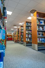 Long aisles between bookshelves in a library with a carpeted floor and a quiet atmosphere, Black