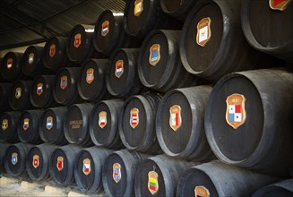 Oak barrels with national symbols of countries exported to from Gonzalez Byass bodega, Jerez de la