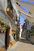 Attractive shaded houses cobbled street in of part of city, Horno de Porras, Cordoba, Spain, Europe
