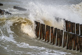 Wave crashing into wooden groyne, breakwater to avoid beach sand erosion during winter storm along
